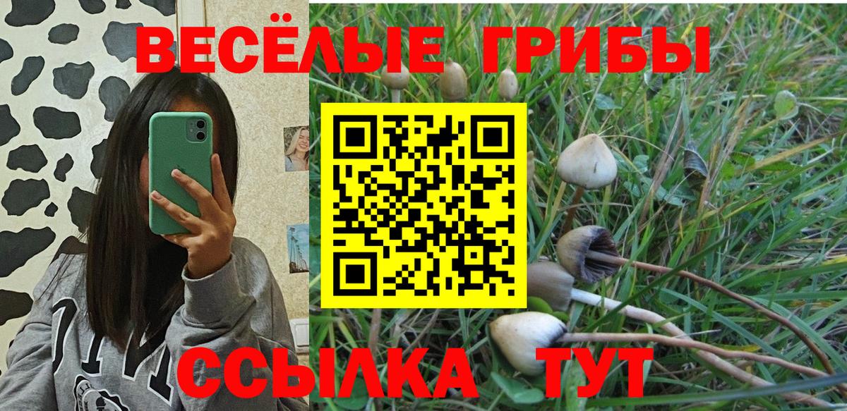 Псилоцибиновые грибы мухоморы Амурск